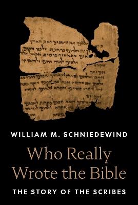 Who Really Wrote the Bible - William M. Schniedewind - Libro Princeton University Press | Libraccio.it