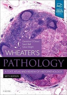 Wheater's Pathology: A Text, Atlas and Review of Histopathology - Geraldine O'Dowd, Sarah Bell, Sylvia Wright - Libro Elsevier Health Sciences, Wheater's Histology and Pathology | Libraccio.it