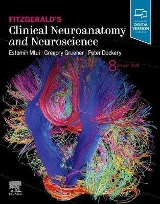 Fitzgerald's Clinical Neuroanatomy and Neuroscience - Estomih Mtui, Gregory Gruener, Peter Dockery - Libro Elsevier Health Sciences | Libraccio.it