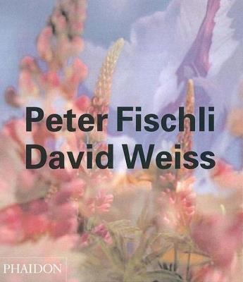 Peter Fischli, David Weiss. Ediz. inglese - Robert Fleck, Beate Söntgen, Arthur C. Danto - Libro Phaidon 2005 | Libraccio.it