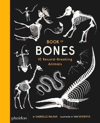 Book of bones. Ediz. a colori - Gabrielle Balkan, Sam Brewster - Libro Phaidon 2017, Libri per bambini | Libraccio.it