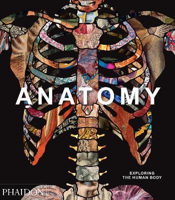 Anatomy. Exploring the human body. Ediz. illustrata  - Libro Phaidon 2019 | Libraccio.it