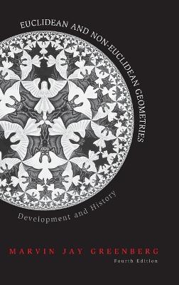 Euclidean and Non-Euclidean Geometries - Marvin J. Greenberg - Libro Macmillan Learning | Libraccio.it