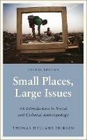 Small Places, Large Issues