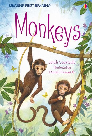 Monkeys - Sarah Courtauld - Libro Usborne 2015 | Libraccio.it