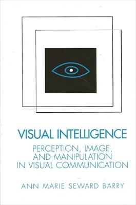 Visual Intelligence - Ann Marie Seward Barry - Libro State University of New York Press | Libraccio.it