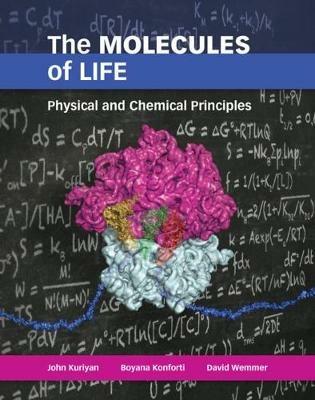 The Molecules of Life - John Kuriyan, Boyana Konforti, David Wemmer - Libro WW Norton & Co | Libraccio.it