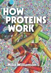 How Proteins Work