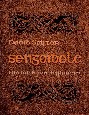 Sengoidelc - David Stifter - Libro Syracuse University Press, Irish Studies | Libraccio.it
