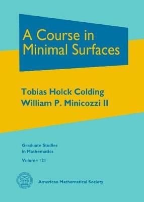 A Course in Minimal Surfaces - Tobias Holck Colding, William P. Minicozzi - Libro American Mathematical Society, Graduate Studies in Mathematics | Libraccio.it