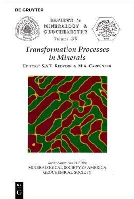 Transformation Processes in Minerals  - Libro de Gruyter, Reviews in Mineralogy & Geochemistry | Libraccio.it
