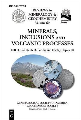 Minerals, Inclusions And Volcanic Processes  - Libro de Gruyter, Reviews in Mineralogy & Geochemistry | Libraccio.it