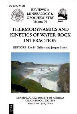 Thermodynamics and Kinetics of Water-Rock Interaction  - Libro de Gruyter, Reviews in Mineralogy & Geochemistry | Libraccio.it