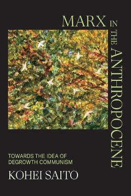 Marx in the Anthropocene - Kohei Saito - Libro Cambridge University Press | Libraccio.it