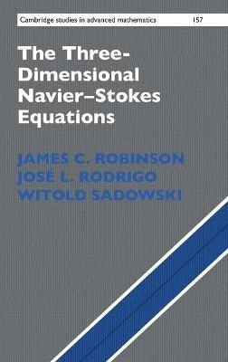 The Three-Dimensional Navier–Stokes Equations - James C. Robinson, José L. Rodrigo, Witold Sadowski - Libro Cambridge University Press, Cambridge Studies in Advanced Mathematics | Libraccio.it