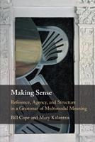Making Sense - Bill Cope, Mary Kalantzis - Libro Cambridge University Press | Libraccio.it