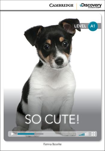 So cute! Level A1. Con Contenuto digitale per accesso on line: Online Access code - Kenna Bourke - Libro Cambridge 2015 | Libraccio.it