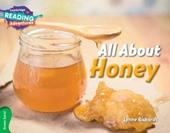 All about honey. A1. YLE livello Movers. Green band.