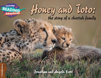 Honey and Toto: the story of a cheetah family. Pathfinders. Cambridge reading adventures  - Libro Cambridge 2018 | Libraccio.it