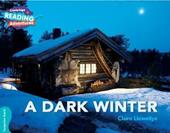 A dark winter. A1. YLE livello Movers. Turquoise band.