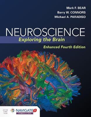 Neuroscience: Exploring The Brain, Enhanced Edition - Mark Bear, Barry Connors, Michael A. Paradiso - Libro Jones and Bartlett Publishers, Inc | Libraccio.it