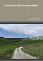I Problemi Della Fenomenologia - Giovanni Piana - Libro Lulu.com | Libraccio.it