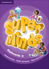 Super minds. Level 6. Flashcards (pack of 98).