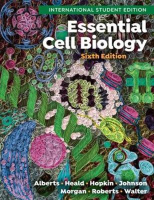 Essential Cell Biology - Bruce Alberts, Rebecca Heald, Karen Hopkin - Libro WW Norton & Co | Libraccio.it