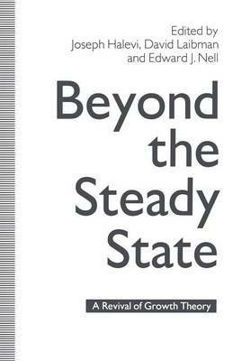 Beyond the Steady State - Joseph Halevi - Libro Palgrave Macmillan | Libraccio.it