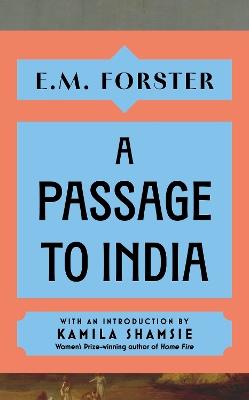 A Passage to India - E M Forster - Libro Hodder & Stoughton | Libraccio.it