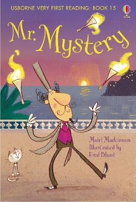 Mr Mystery - Mairi Mackinnon - Libro Usborne 2015 | Libraccio.it