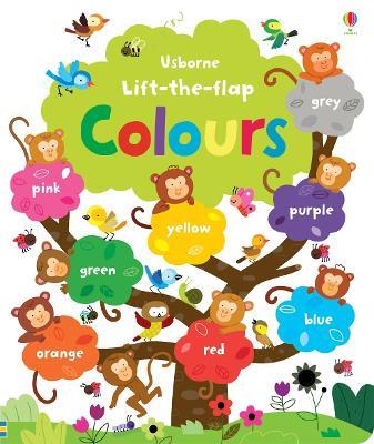 Lift the flap. Colours - Felicity Brooks - Libro Usborne 2015 | Libraccio.it