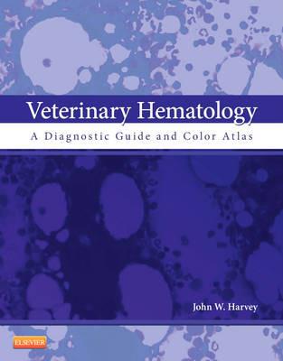 Veterinary Hematology - John W. Harvey - Libro Elsevier Health Sciences | Libraccio.it