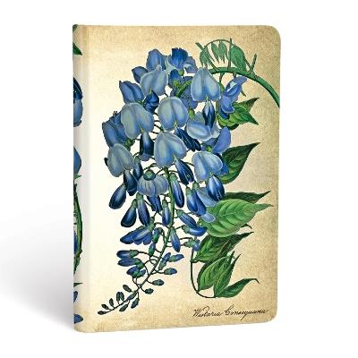 Taccuino Paperblanks copertina rigida Mini a pagine bianche Glicine in  fiore - 9,5x14 Paperblanks 2019