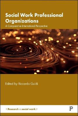 Social Work Professional Organizations  - Libro Bristol University Press, Research in Social Work | Libraccio.it