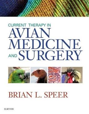 Current Therapy in Avian Medicine and Surgery - Brian Speer - Libro Elsevier Health Sciences | Libraccio.it