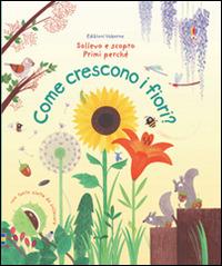 Come crescono i fiori? Ediz. illustrata - Katie Daynes, Christine Pym - Libro Usborne 2016, Sollevo e scopro. Primi perché | Libraccio.it