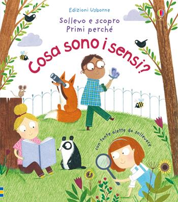 Cosa sono i sensi? Ediz. a colori - Katie Daynes, Christine Pym - Libro Usborne 2017, Sollevo e scopro. Primi perché | Libraccio.it