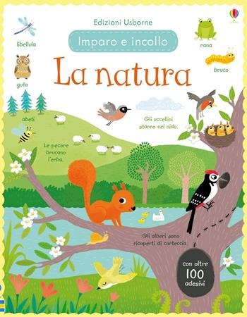 La natura. Imparo e incollo. Ediz. a colori - Felicity Brooks - Libro Usborne 2017 | Libraccio.it