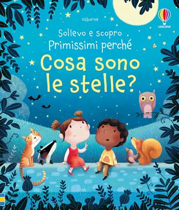 Cosa sono le stelle? Ediz. a colori - Katie Daynes - Libro Usborne 2018, Sollevo e scopro. Primissimi perché | Libraccio.it