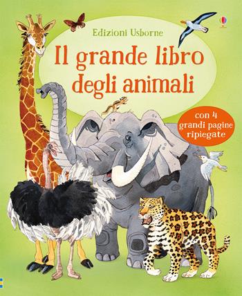 Il grande libro degli animali - Hazel Maskell - Libro Usborne 2019, Scopri con me | Libraccio.it