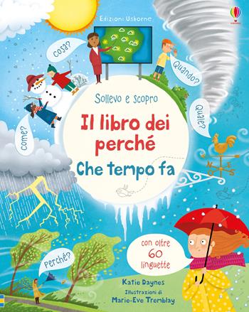 Che tempo fa. Il libro dei perché. Ediz. a colori - Katie Daynes - Libro Usborne 2019, Sollevo e scopro. Primi perché | Libraccio.it