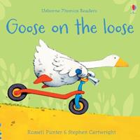Goose on the loose - Russell Punter - Libro Usborne 2022 | Libraccio.it