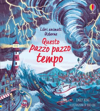 Questo pazzo pazzo tempo. Libri animati. Ediz. a colori - Emily Bone - Libro Usborne 2020, Scopri con me | Libraccio.it