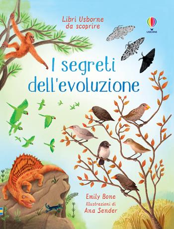 I segreti dell’evoluzione. Ediz. a colori - Emily Bone - Libro Usborne 2022, Libri Usborne da scoprire | Libraccio.it