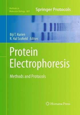 Protein Electrophoresis  - Libro Humana Press Inc., Methods in Molecular Biology | Libraccio.it