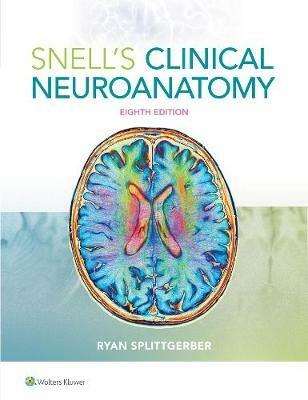 Snell's Clinical Neuroanatomy - Ryan Splittgerber - Libro Lippincott Williams and Wilkins | Libraccio.it