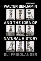 Walter Benjamin and the Idea of Natural History - Eli Friedlander - Libro Stanford University Press, Cultural Memory in the Present | Libraccio.it