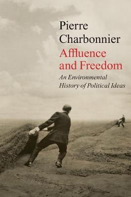 Affluence and Freedom - Pierre Charbonnier - Libro Polity Press | Libraccio.it