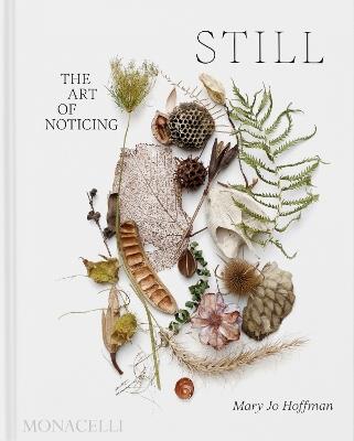 Still. The art of noticing - Mary Jo Hoffman - Libro Phaidon 2024 | Libraccio.it